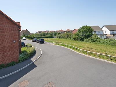 Picture 25